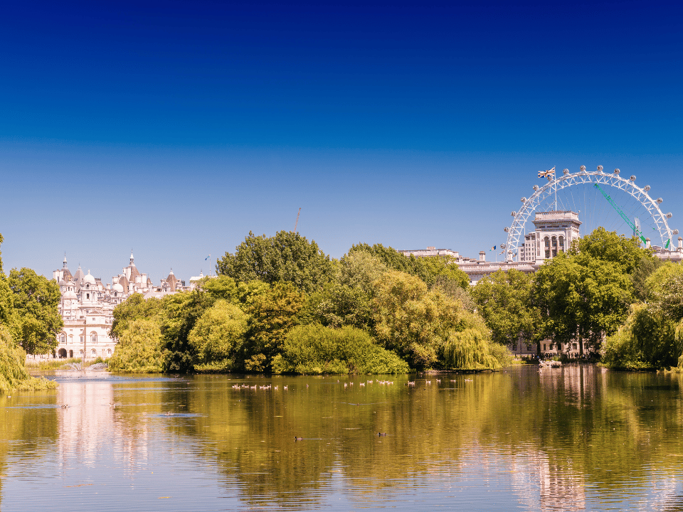 A view of the London Eye from Hyde Park 