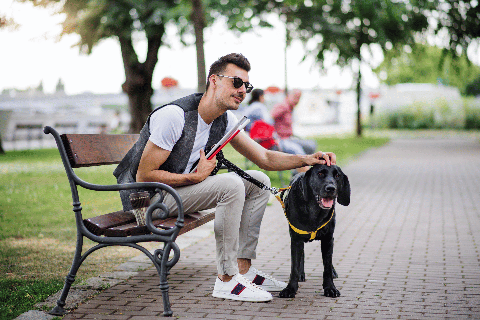 A blind man sitting on a bench with his cane and guide dog