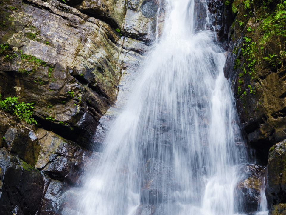 El Yunque National Forest Waterfall