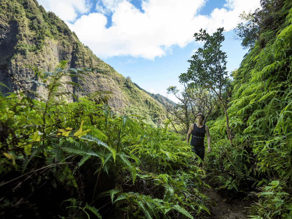 Iao Valley State Park in Maui