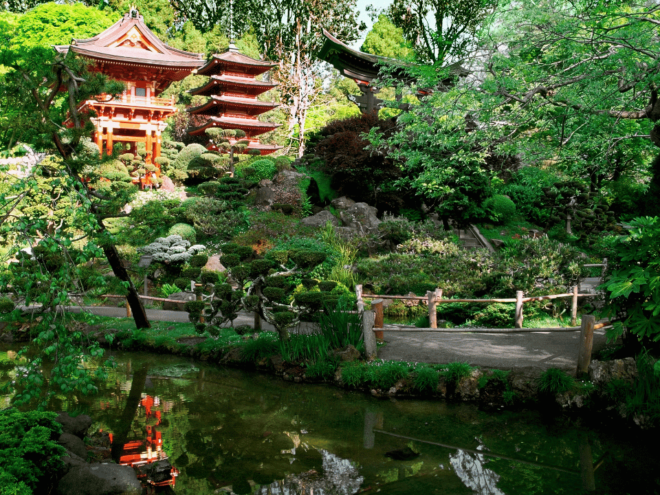 The Japanese Tea Garden in San Fran 