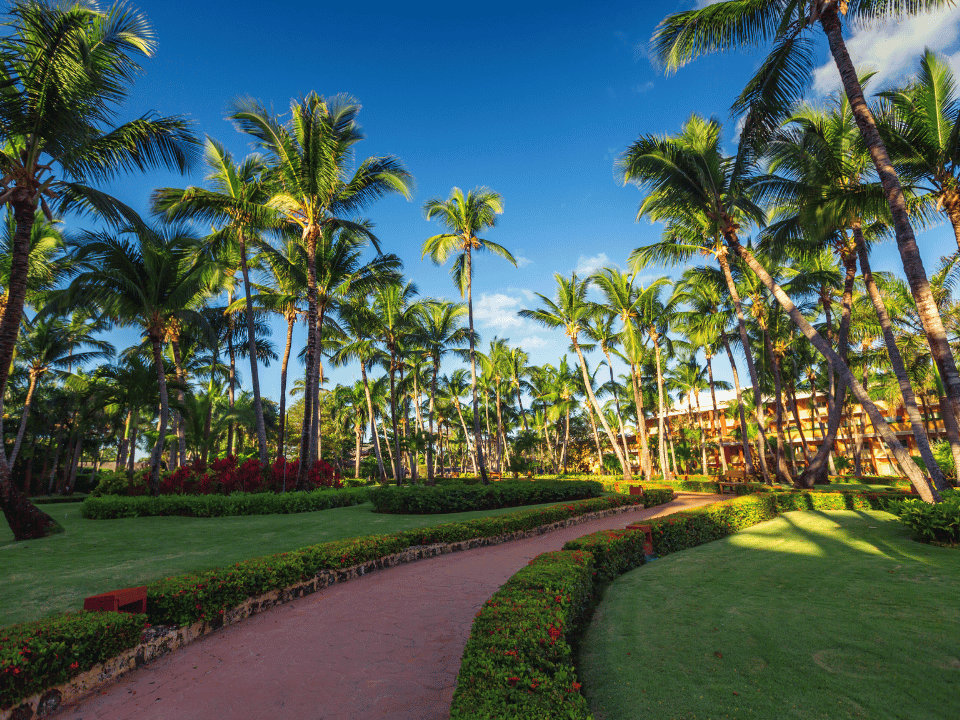 An accessible resort in Punta Cana
