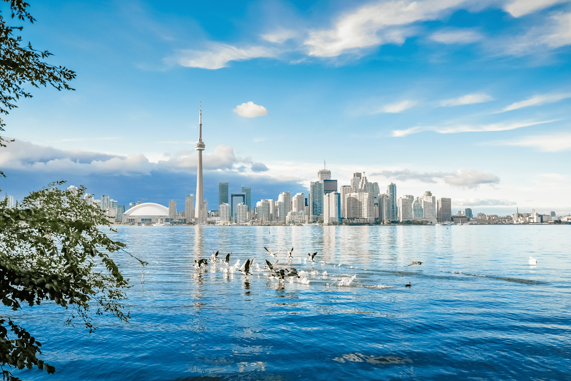 Toronto city, Canada surangaw from Getty Images Pro