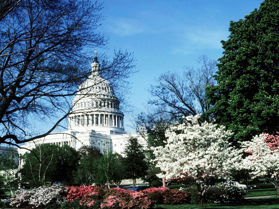 Capitol building of Washington DC