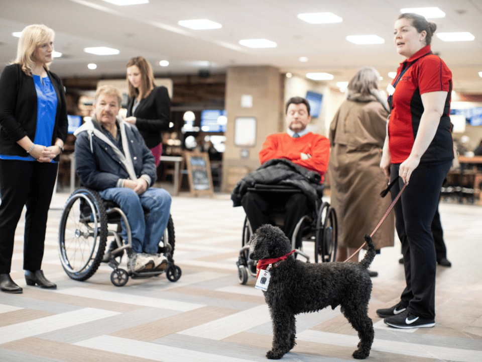 Wheelchair and service dog at an airport
