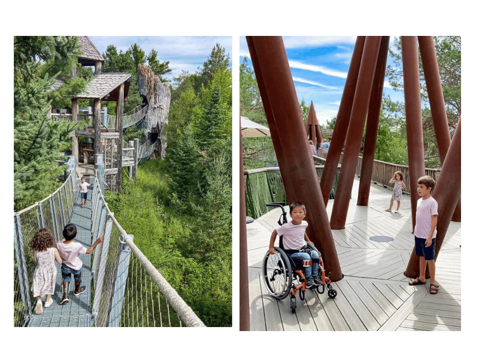 The Wild Walk is an accessible trail with a bird’s eye view of the forest. Which we could roll on to! 