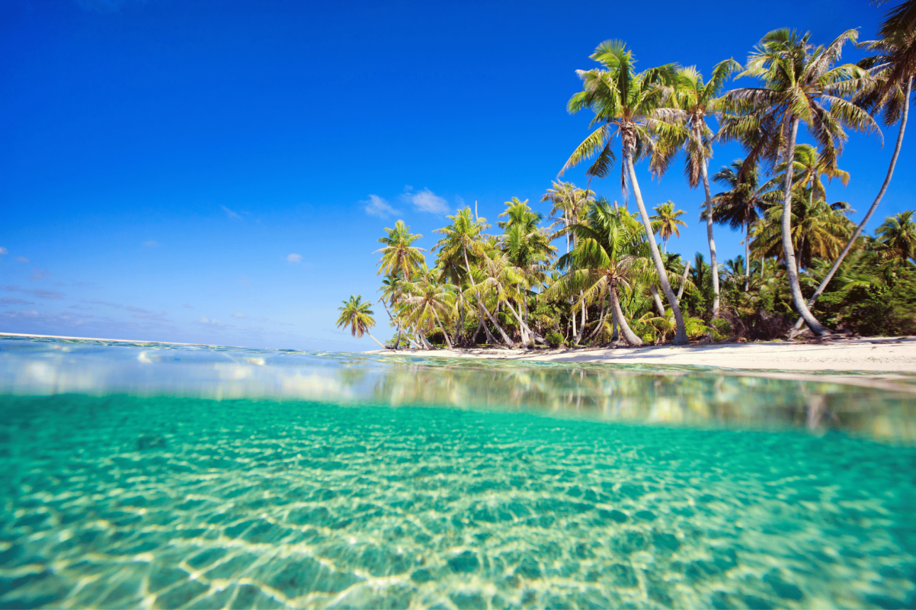 Adventures in the Solomon Islands and Kiribati