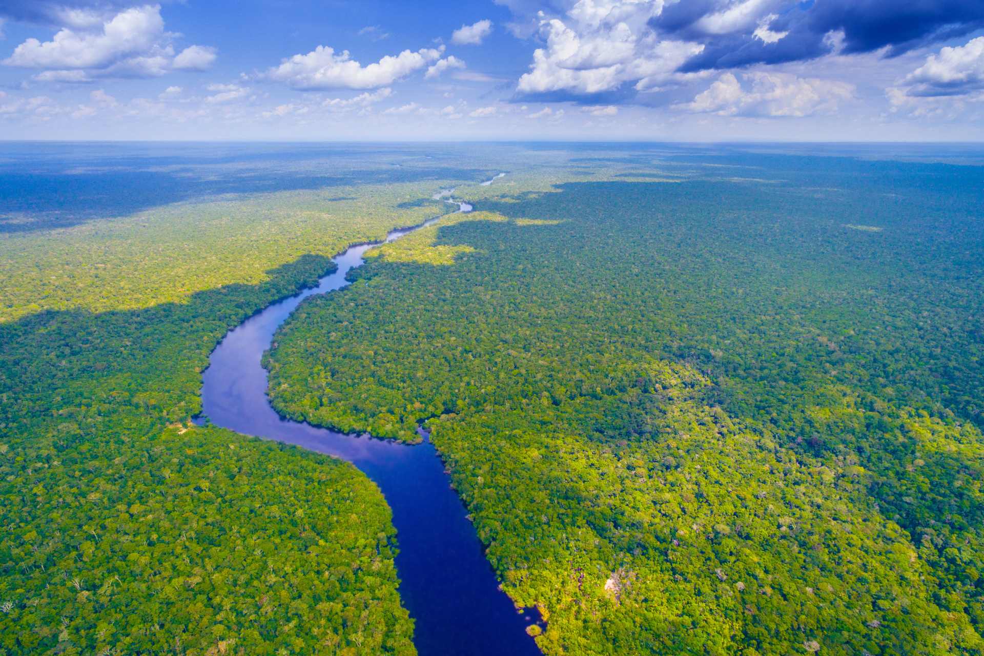 Amazon Rainforest ©Getty Images