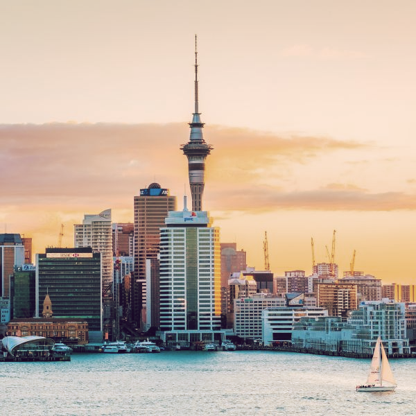Beautiful landscape of the building in Auckland city at dawn.