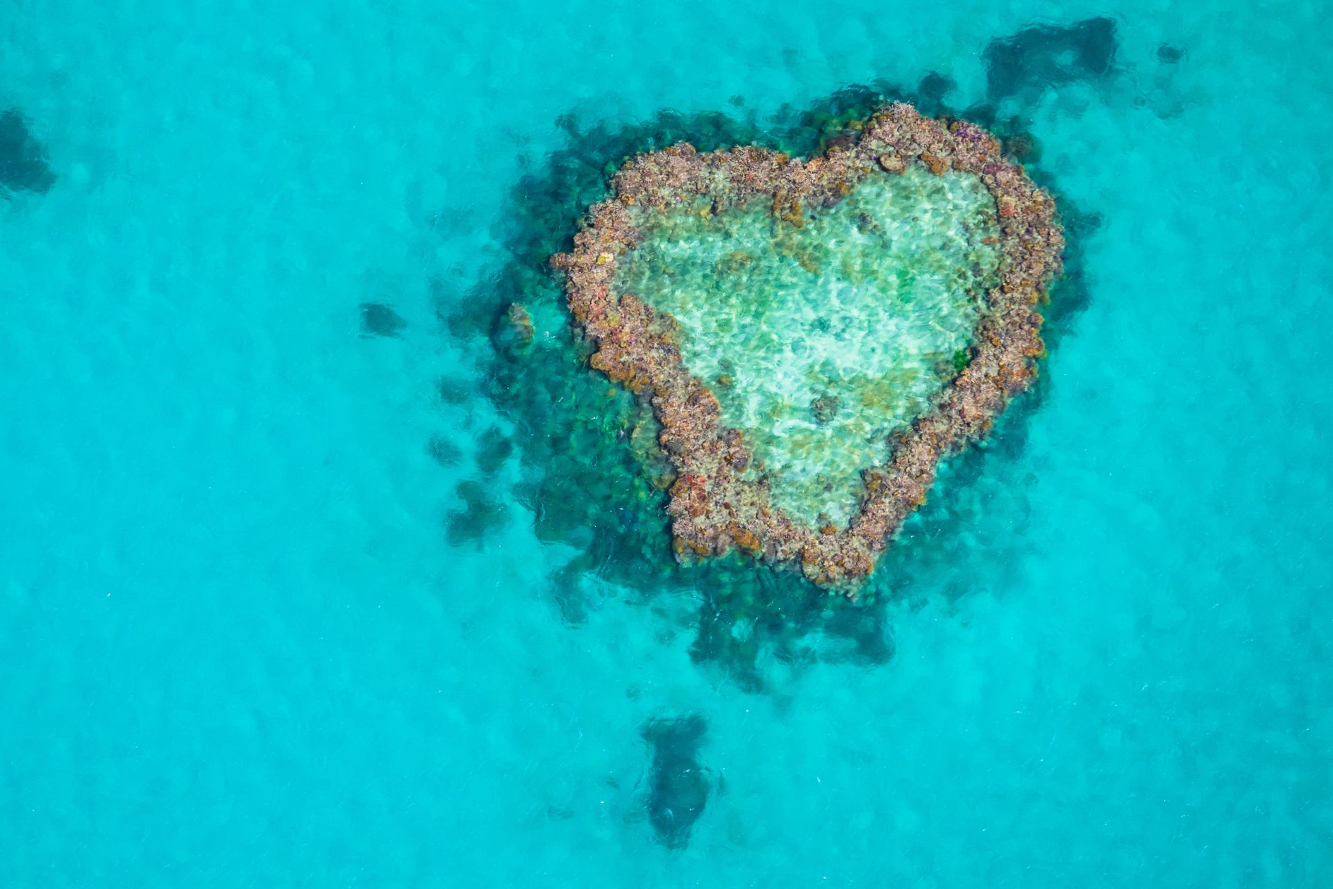 Beautiful Heart Reef in the Great Barrier Reef, Australia ©Getty Images