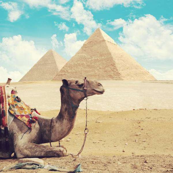 Visit Egypt