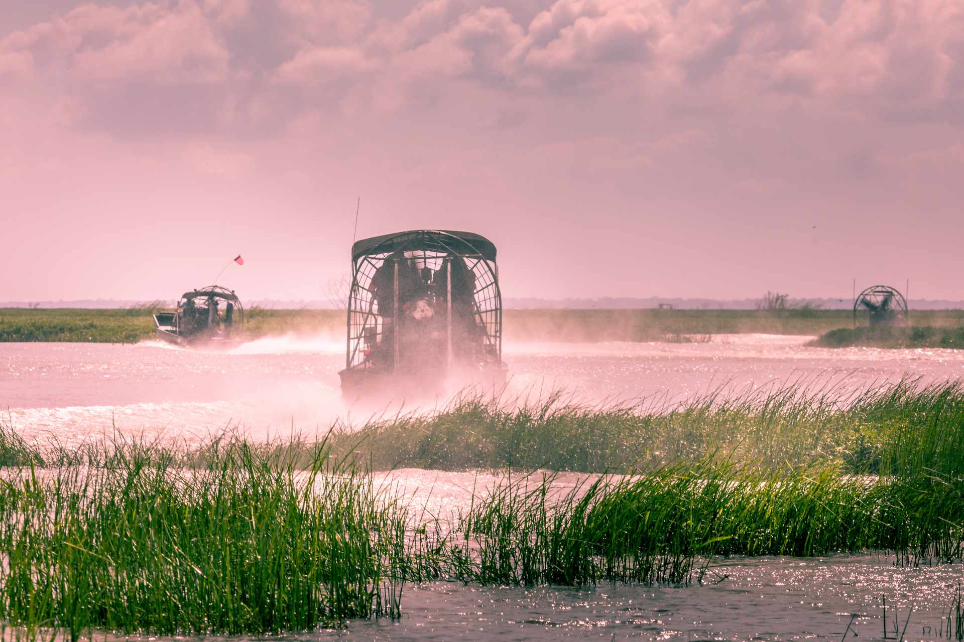 Everglades airboat ride in South Florida, National Park. ©Getty Images