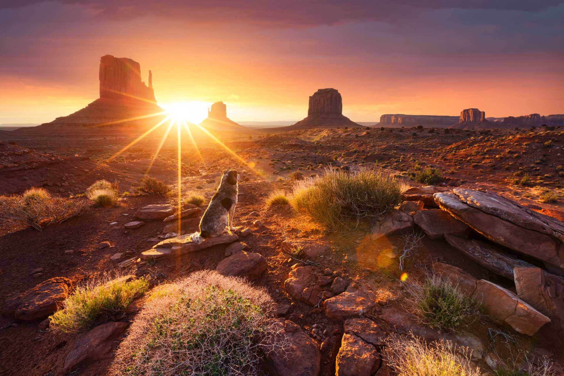 Monument Valley at sunrise ©Getty Images