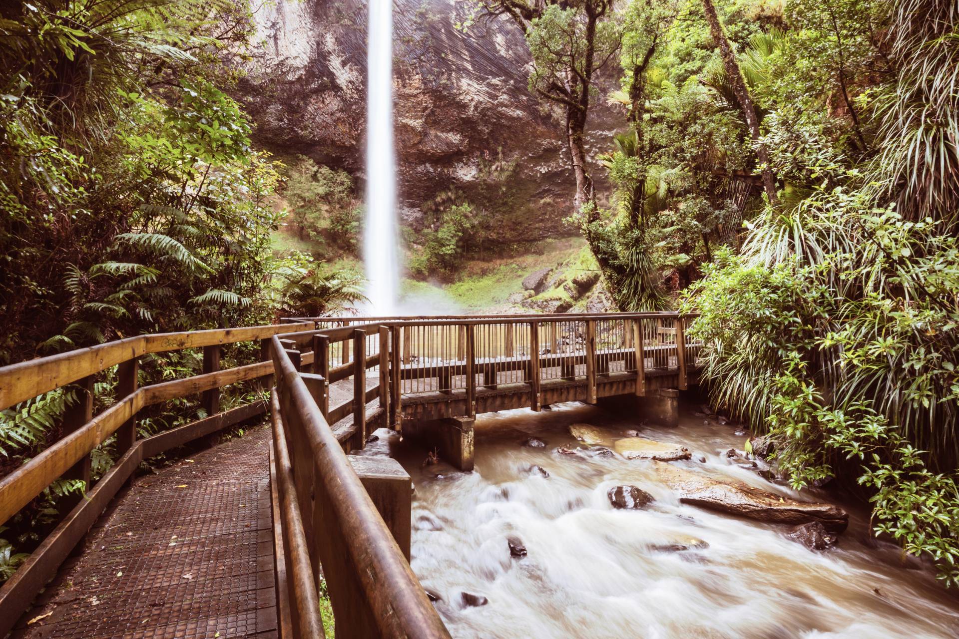 Beautiful waterfall in green rainforest, New Zealand.