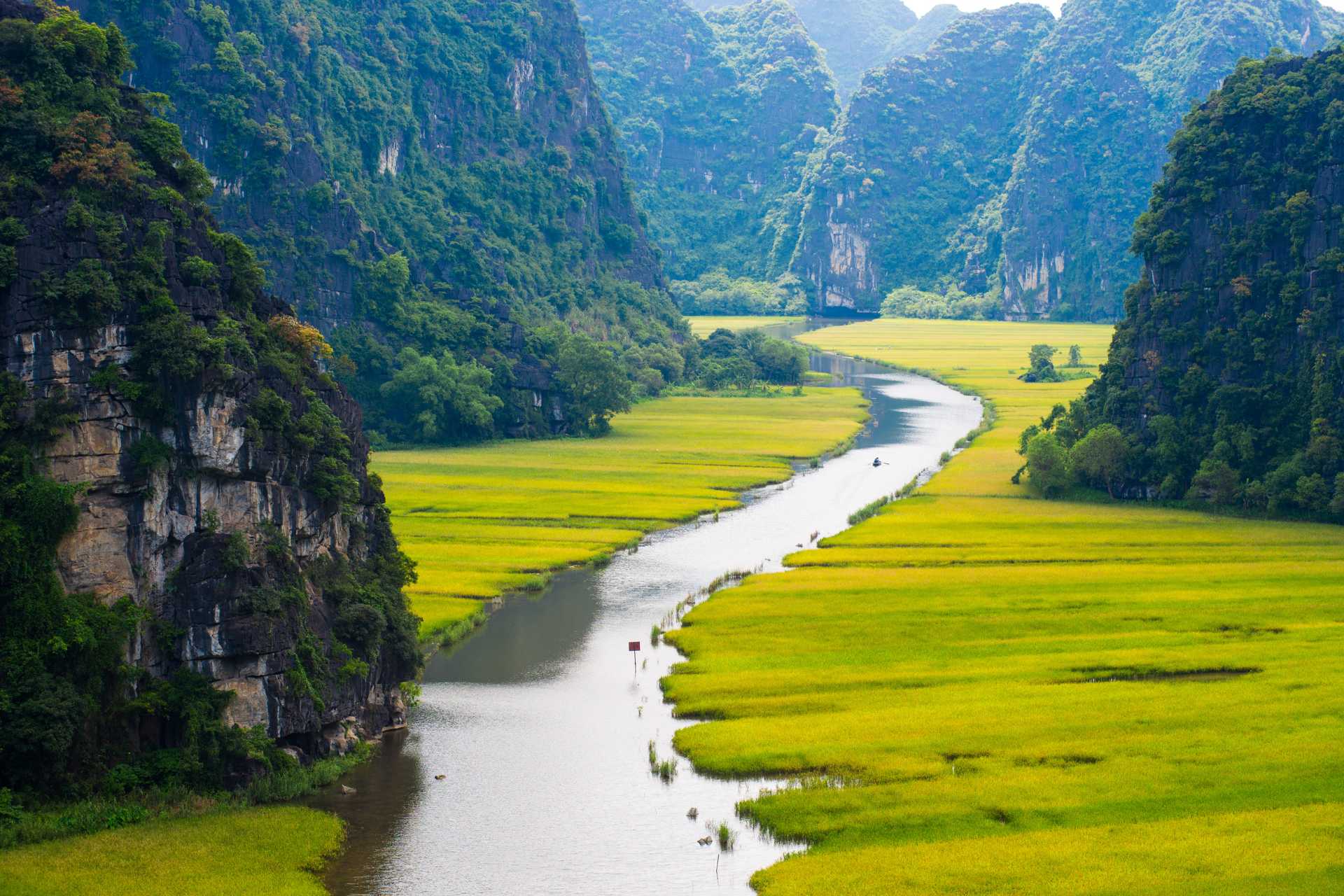 Rice field and river in NinhBinh, Vietnam ©Getty Images