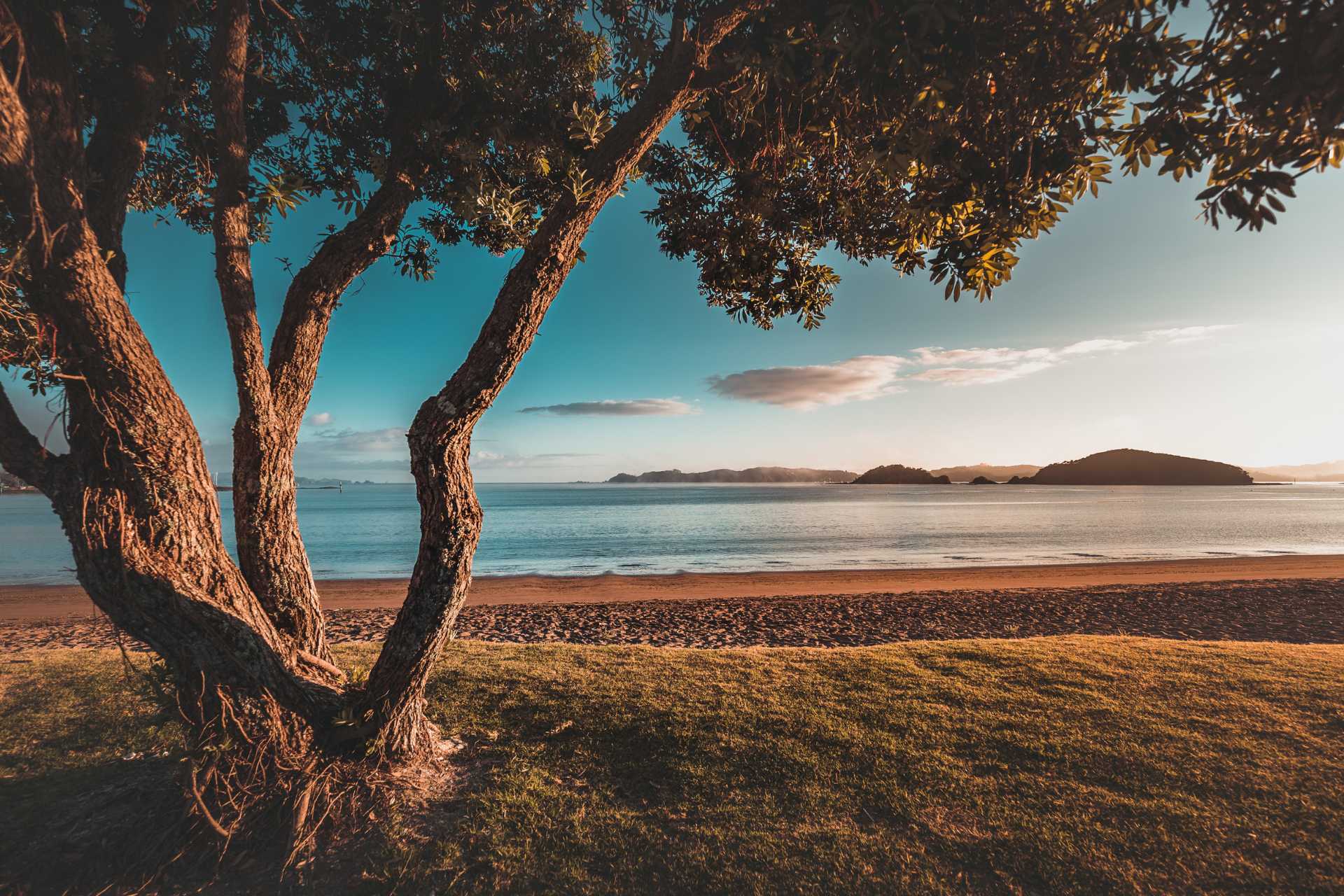 Sunrise in New Zealand Paihia Beach ©Getty Images