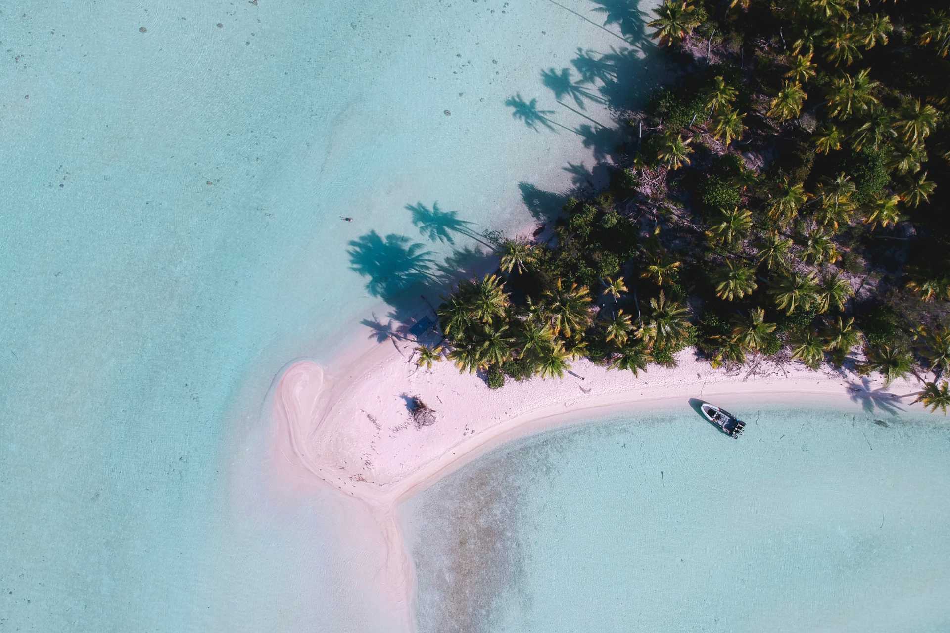 Tropical beach scene in Fakarava from drone ©Getty Images