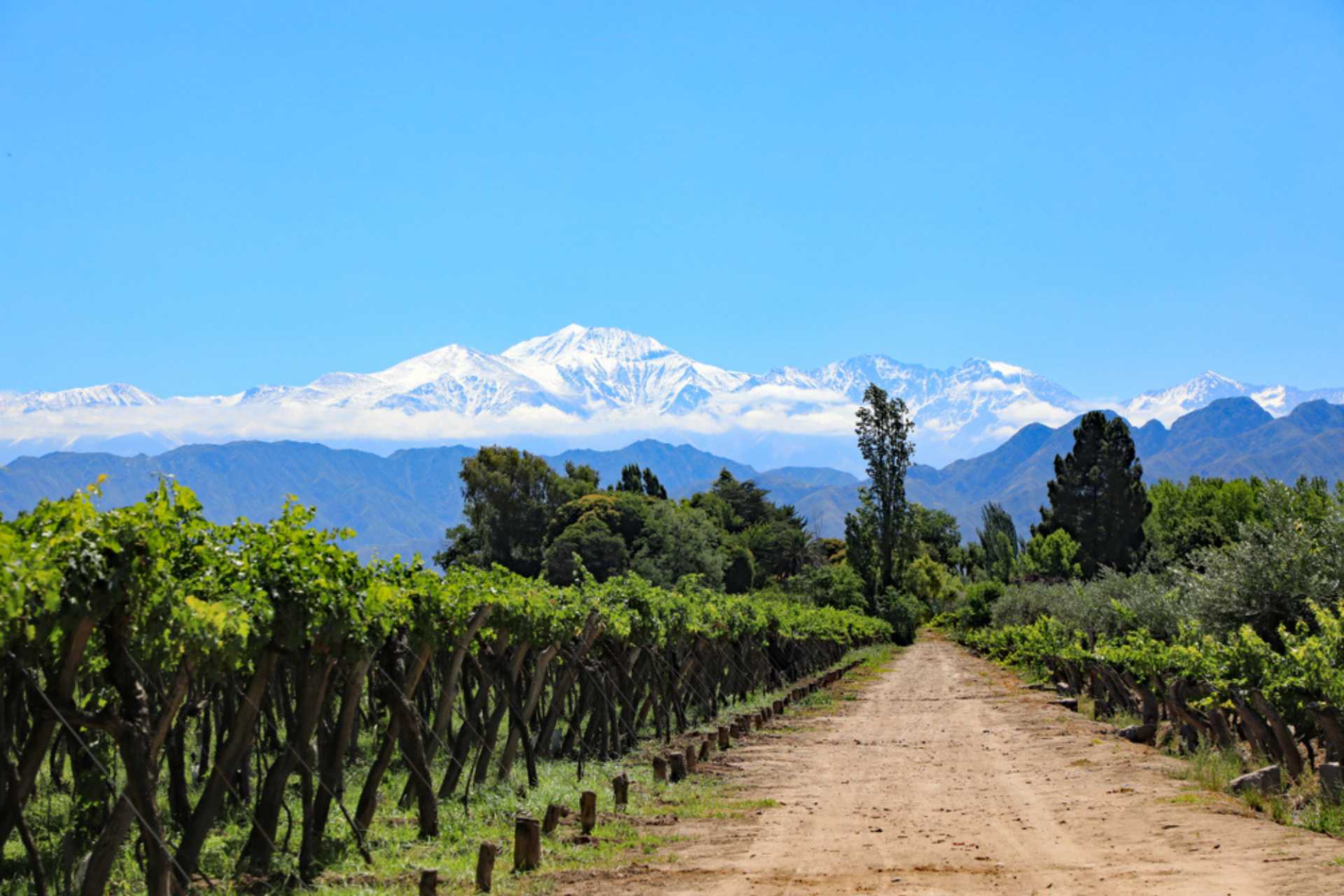 Mendoza wine country of Argentina ©Shutterstock 1289634982