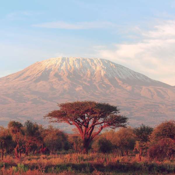 Visit Kenya