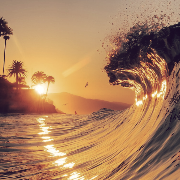 A wave crashing at sunset ©Visit Santa Barbara