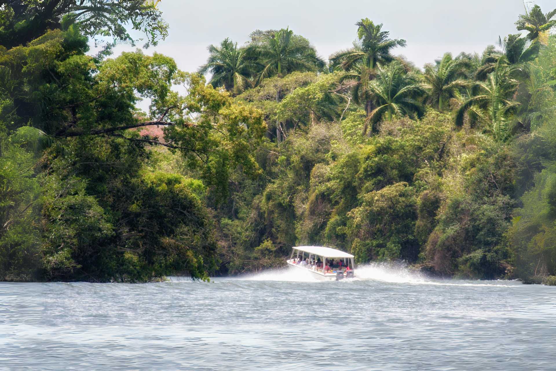 A river tour boat heading into the Belize jungle.
