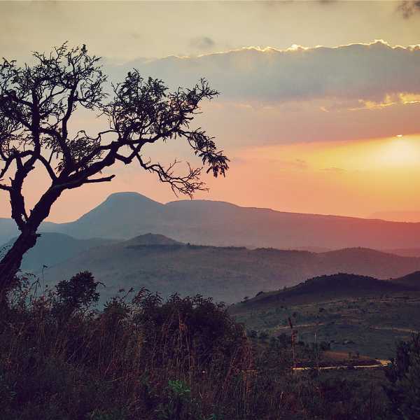 Majestic and beautiful sunrise view over savannah in South Africa in Kruger park.