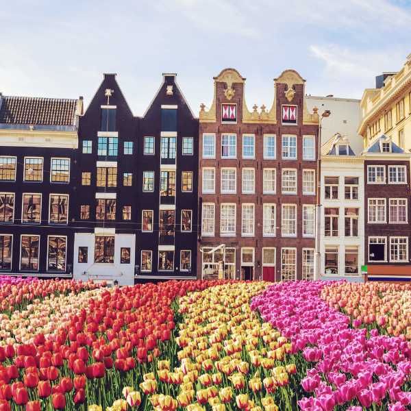 Traditional old buildings and tulips in Amsterdam, Netherlands ©Getty Images