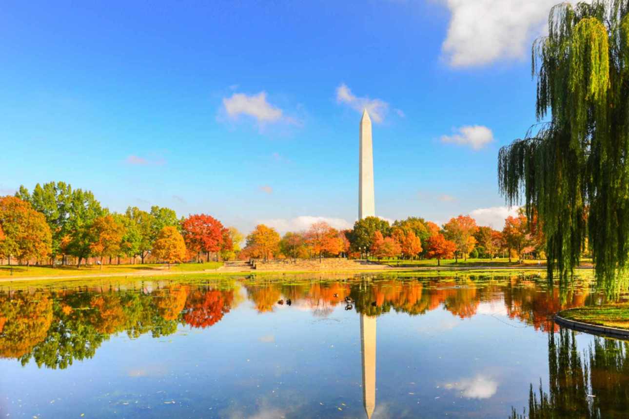 Explore Eco-Friendly Tours in Washington, DC