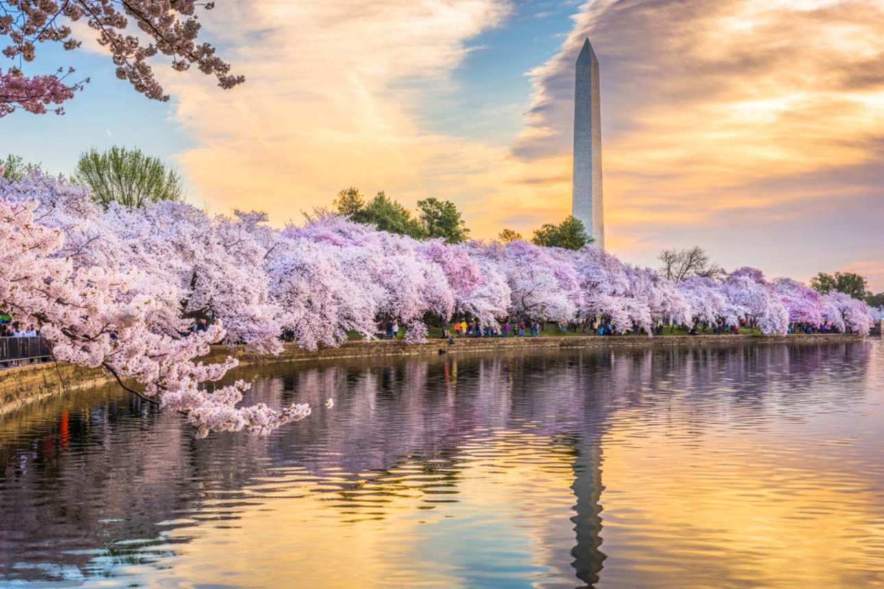 Washington DC: A City for Everyone