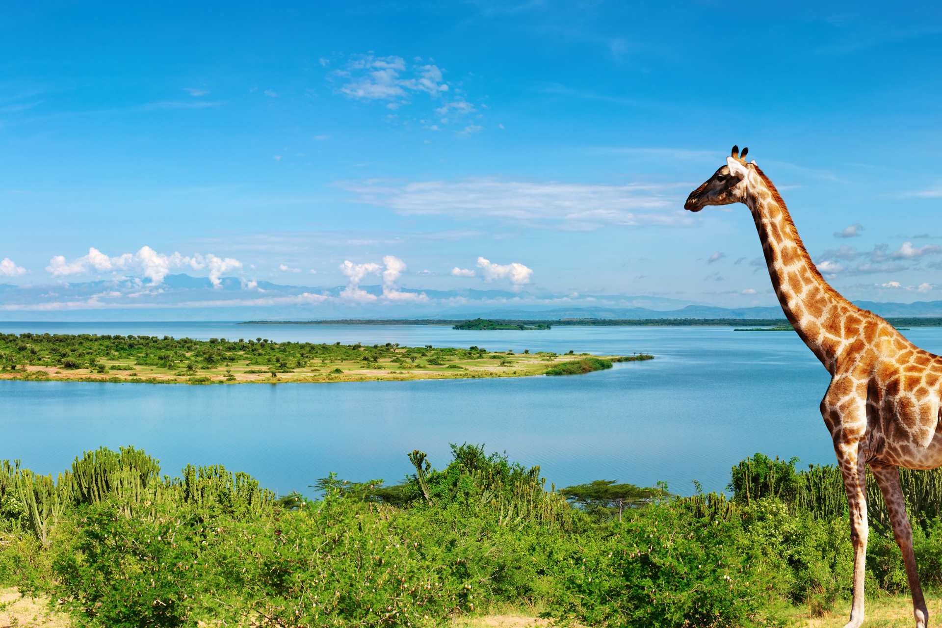 Nile in Uganda, Africa