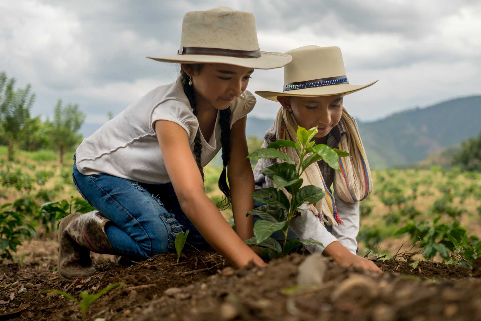 Happy kids planting trees at a coffee farm, Colombia