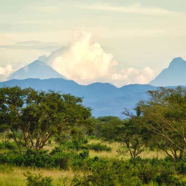 Queen Elizabeth National Park, Uganda ©Getty Images
