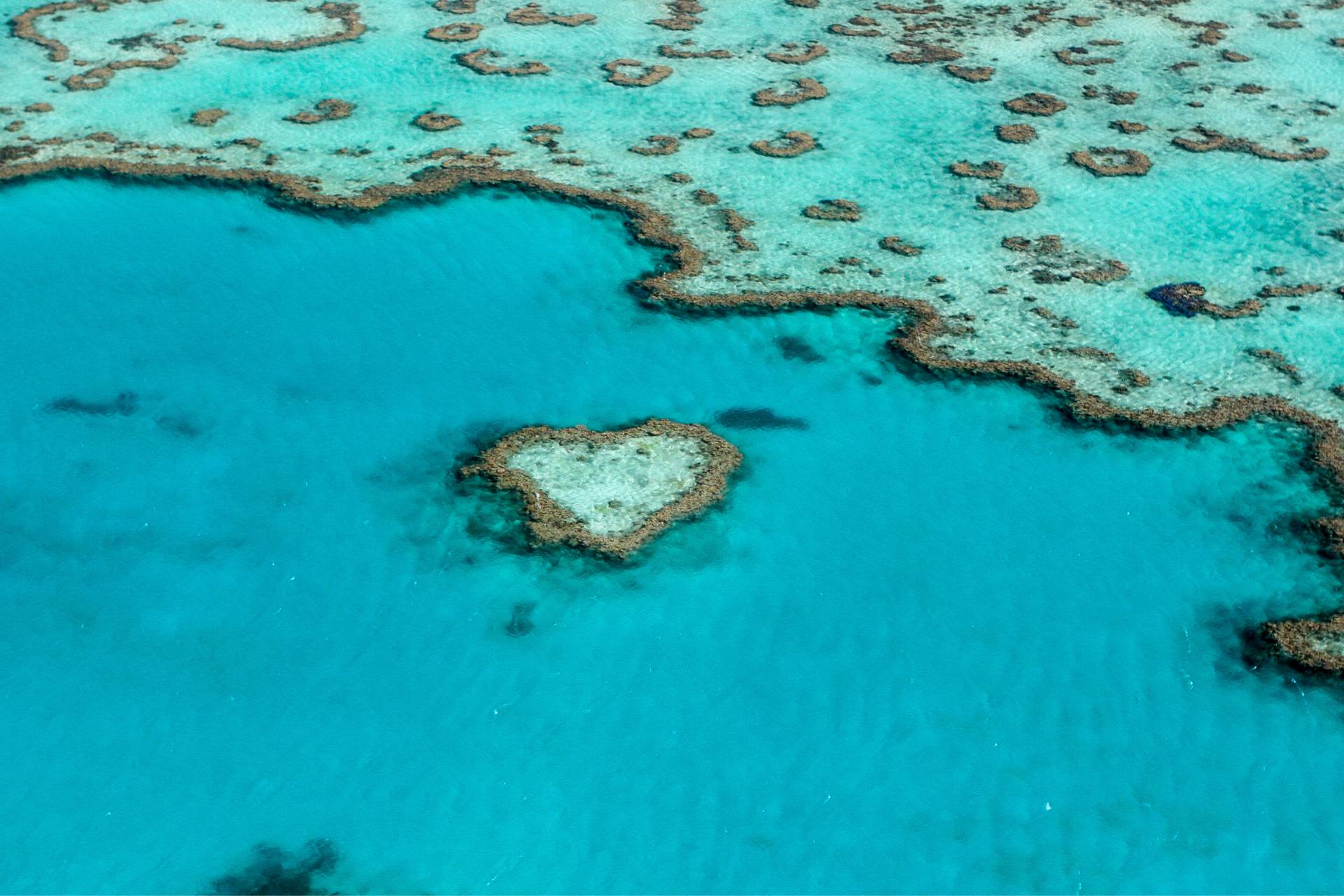 Heart Reef in the Great Barrier Reef in Queensland, Australia.©Getty Images